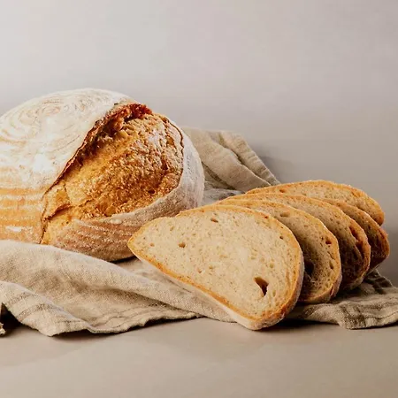 Hotel Petit Ses Rotges - Only Adults Cala Ratjada (Mallorca)