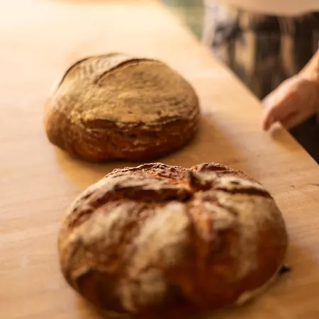 酒店 Petit Ses Rotges - Only Adults 卡拉纳雅达