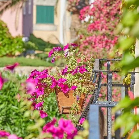 Hotel Petit Ses Rotges - Only Adults 3*