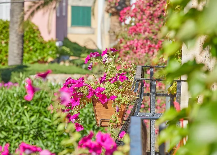 酒店 Petit Ses Rotges - Only Adults 3*