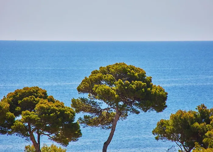 Hotel Petit Ses Rotges - Only Adults Cala Ratjada (Mallorca)