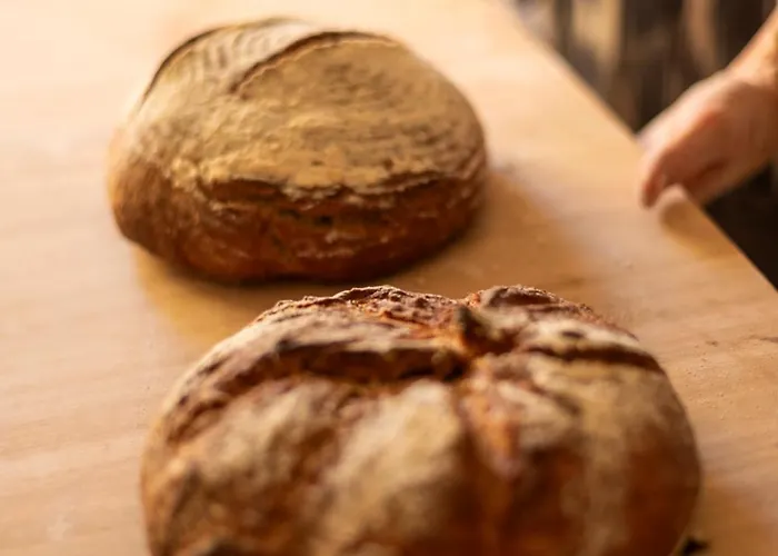 Hotel Petit Ses Rotges - Only Adults Cala Ratjada (Mallorca)